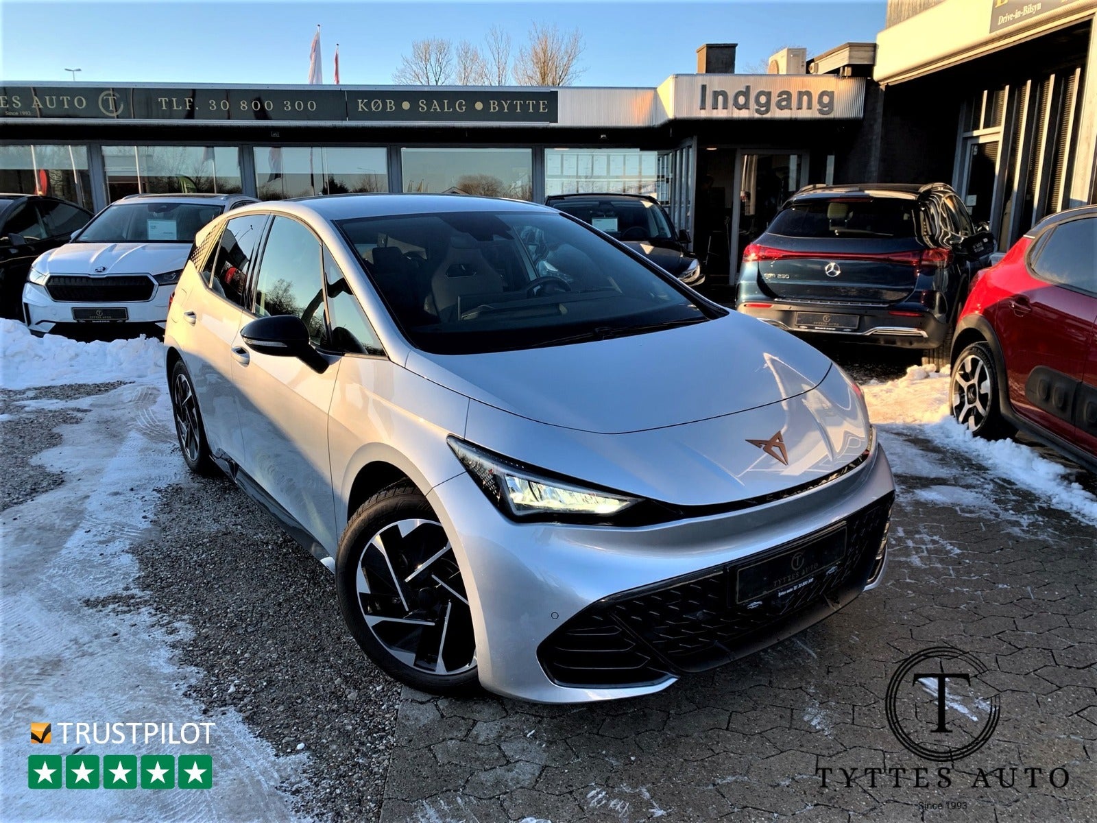 Cupra Born Dinamica Pack High