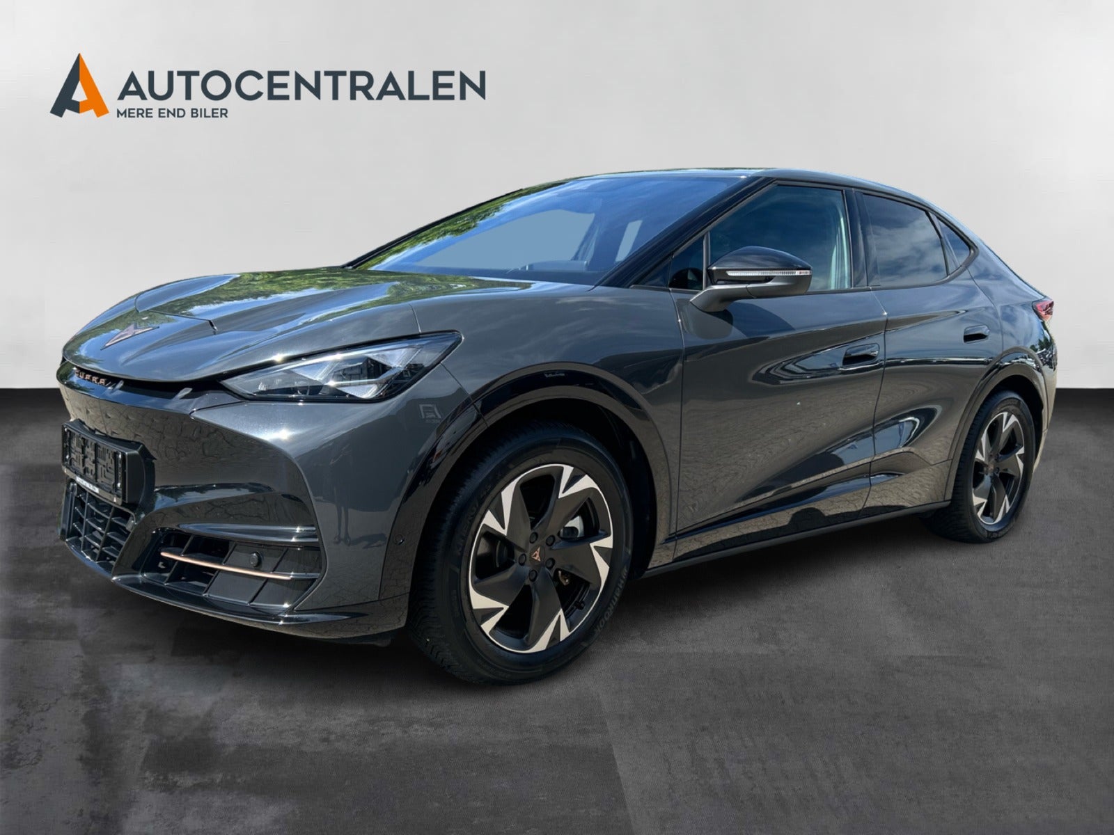 Cupra Tavascan Endurance