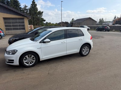 VW Golf VII TDi 110 BlueMotion