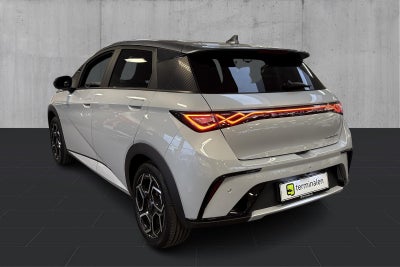 BYD Dolphin Design - 2