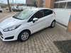 Ford Fiesta TDCi 95 Trend ECO Van thumbnail