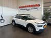 Citroën C4 Cactus BlueHDi 100 SkyLine Van