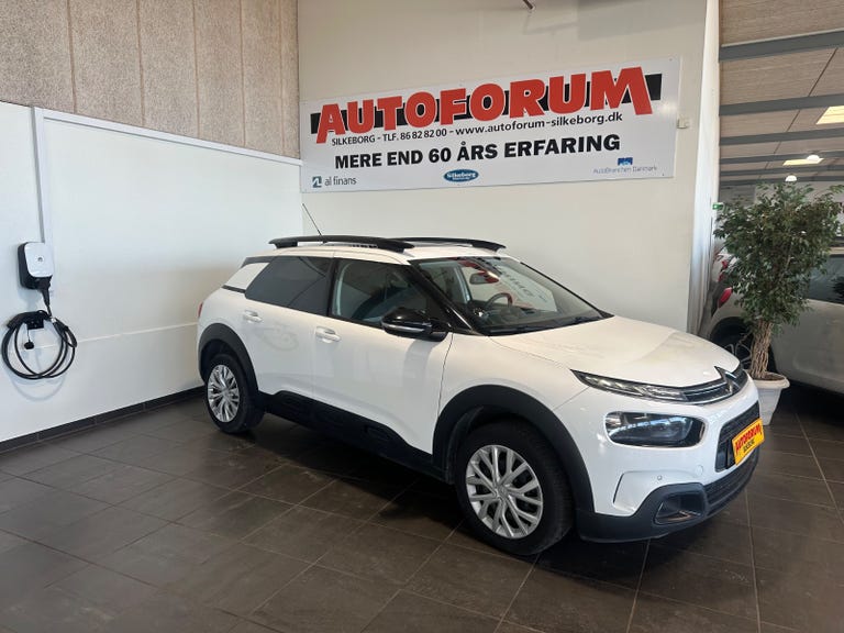 Citroën C4 Cactus BlueHDi 100 SkyLine Van