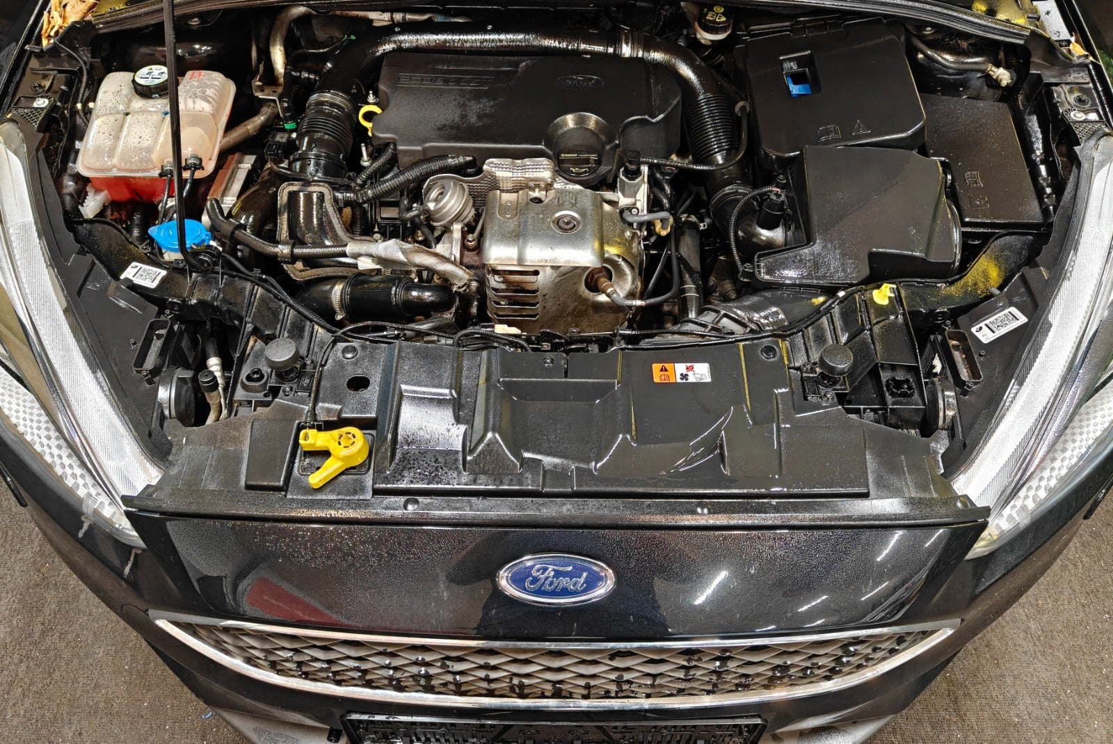 Billede af Ford Focus 1,0 SCTi 125 Trend