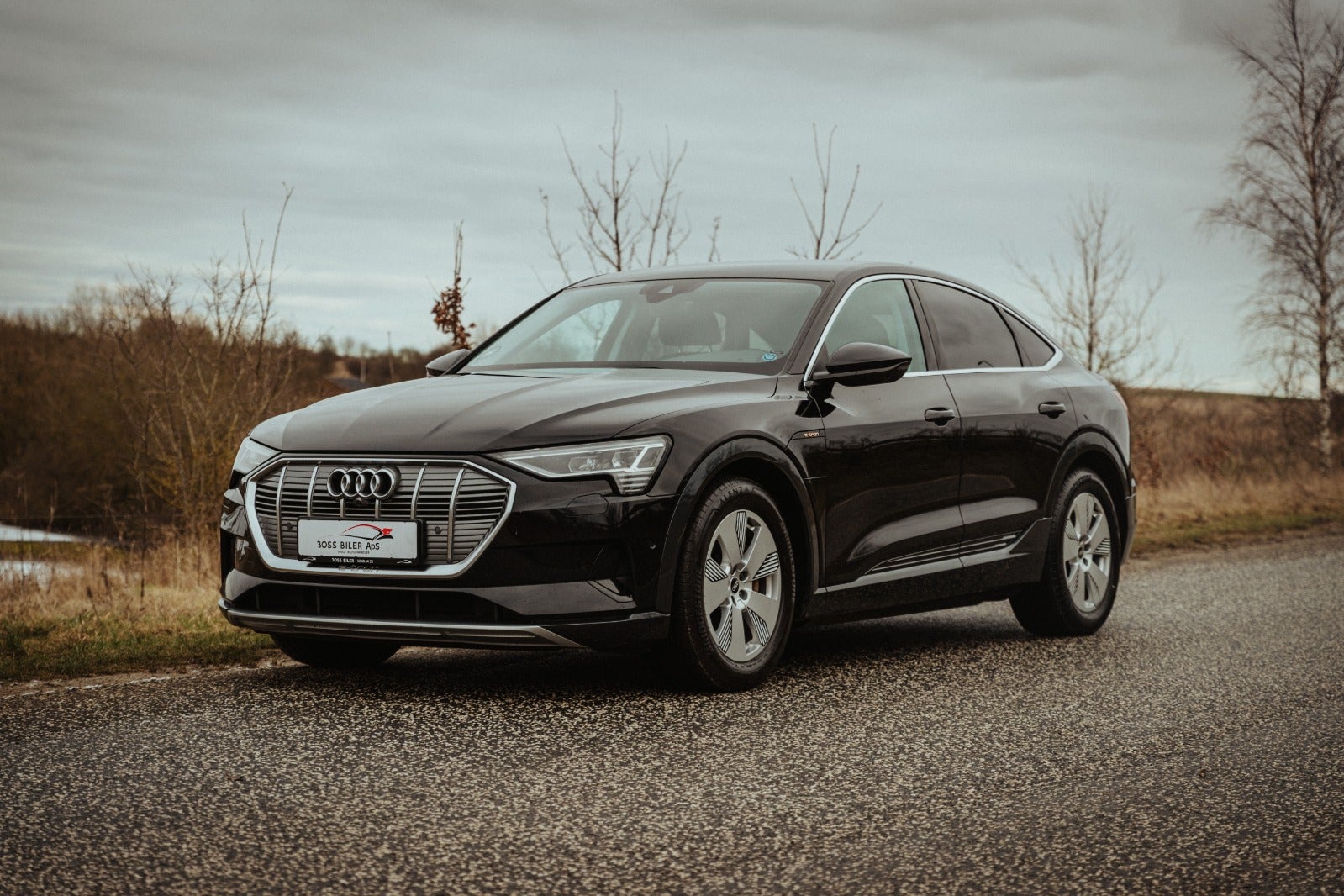 Billede af Audi e-tron 50 Advanced Prestige Sportback quattro
