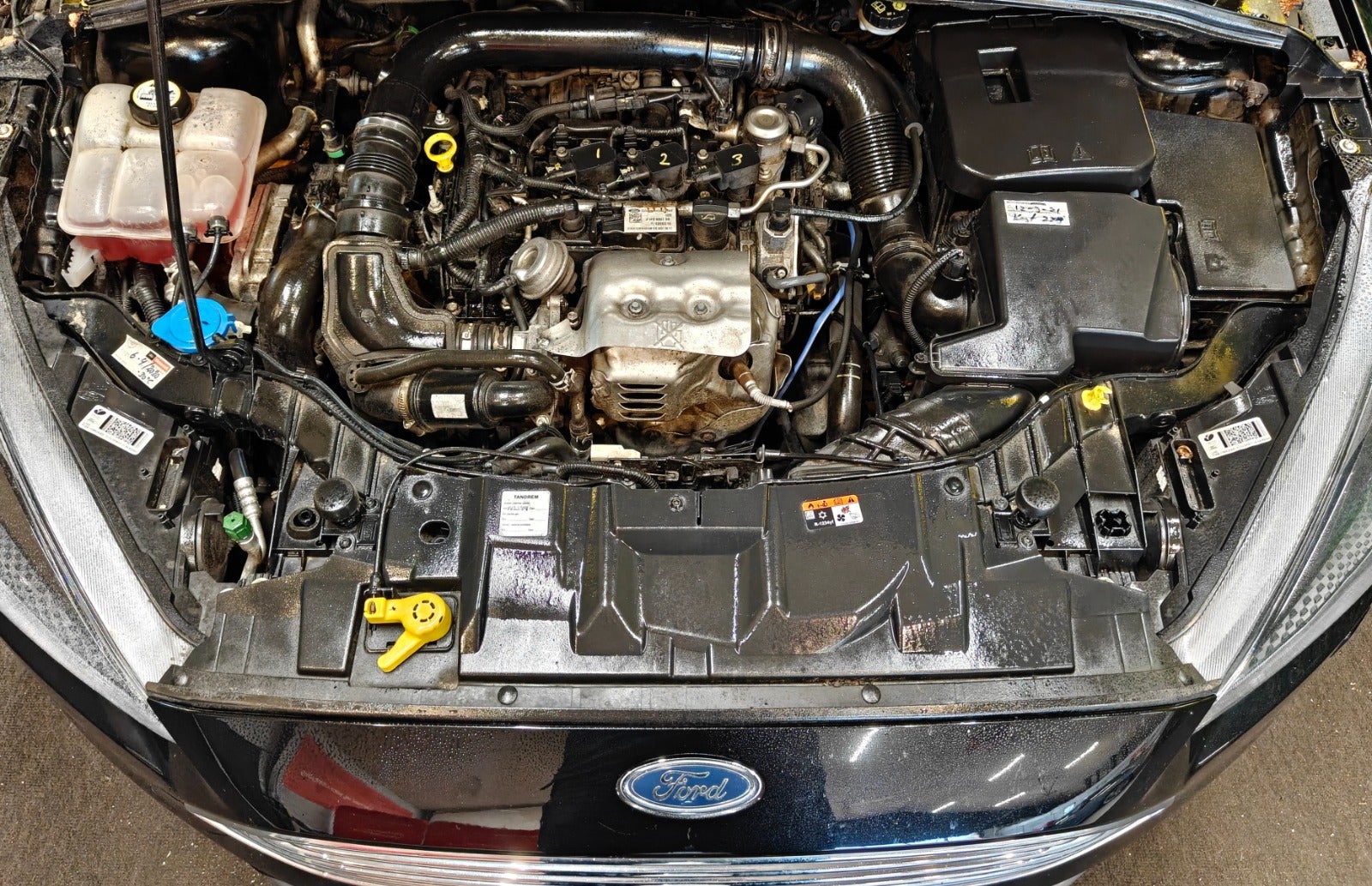 Billede af Ford Focus 1,0 SCTi 125 Business stc.