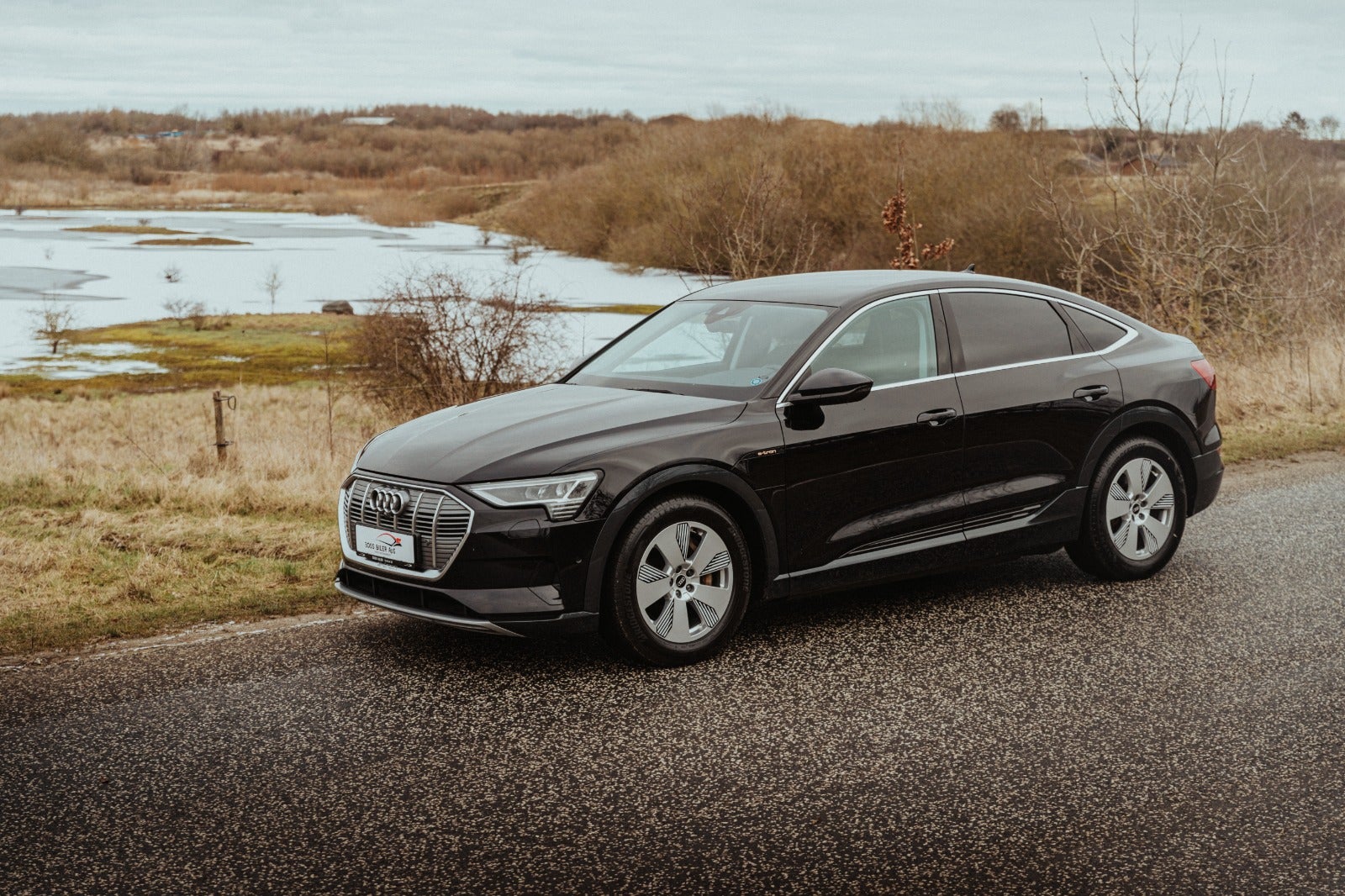 Billede af Audi e-tron 50 Advanced Prestige Sportback quattro