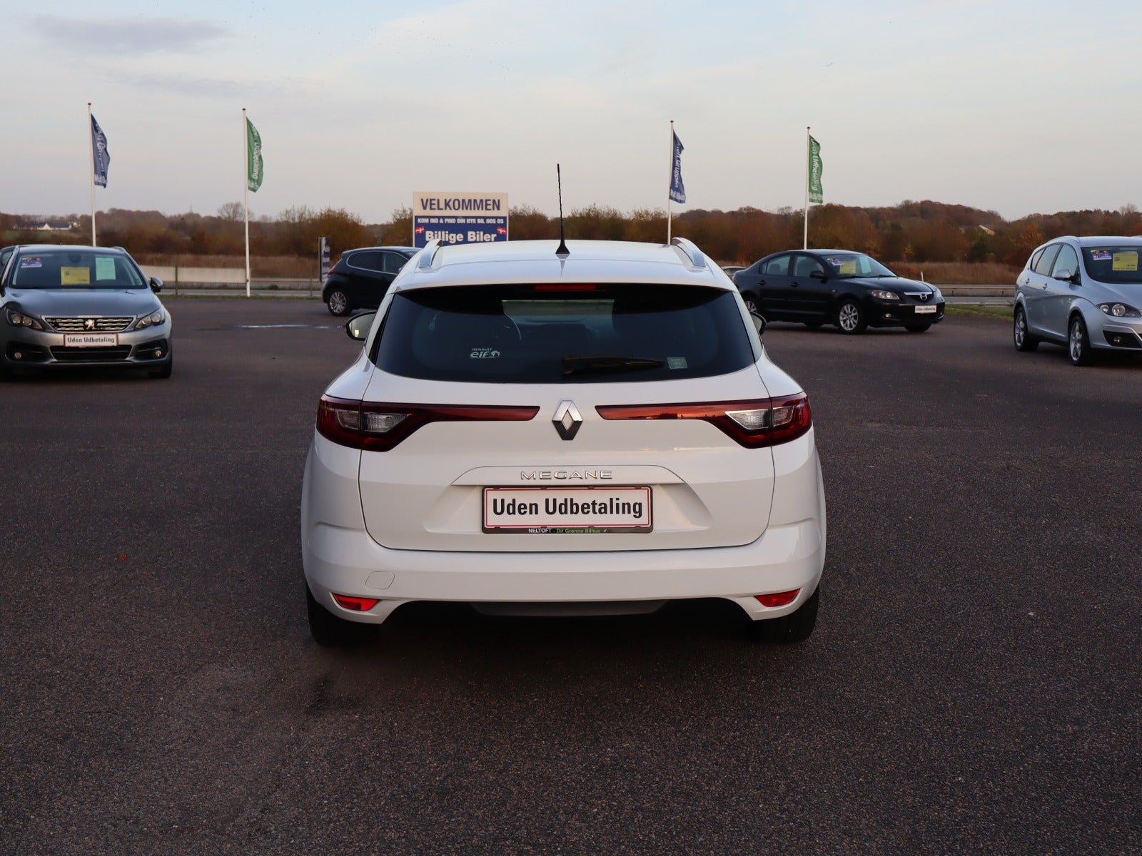 Billede af Renault Megane IV 1,2 TCe 130 GT-Line Sport Tourer