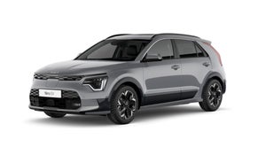 Kia Niro EV Access