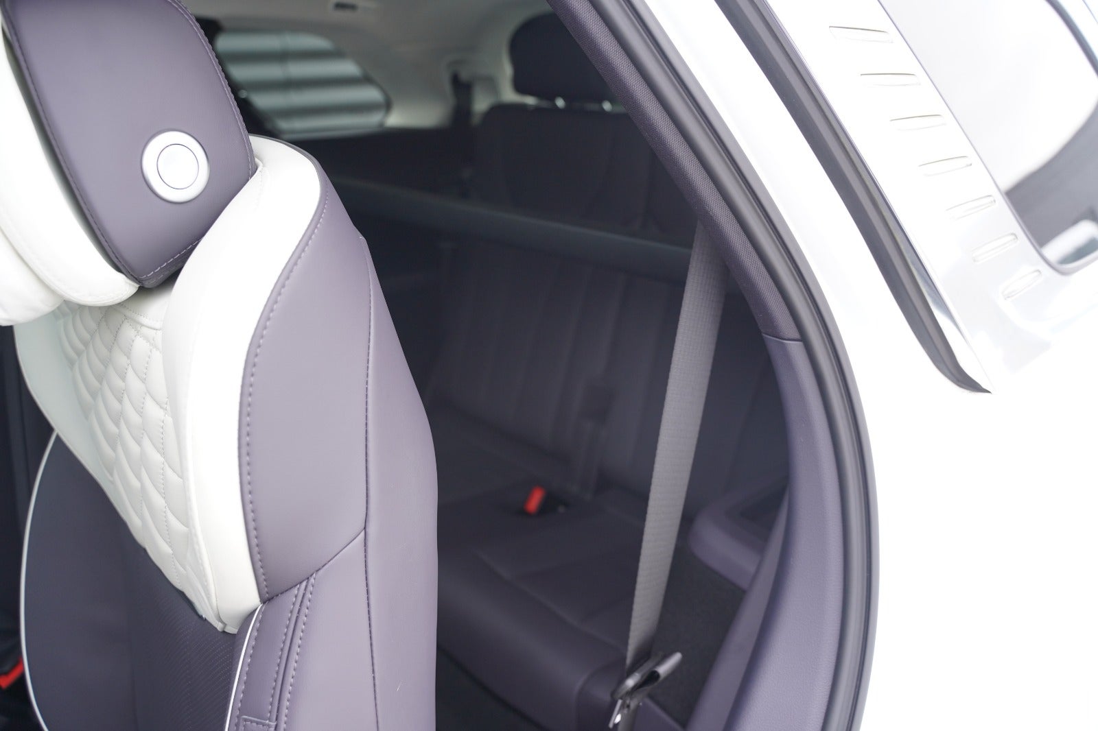 Billede af Hongqi E-HS9 99 Exclusive