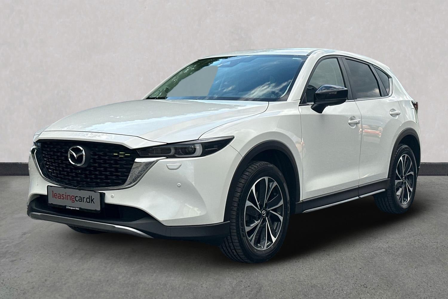 Billede af Mazda CX-5 2,0 SkyActiv-G 165 Newground aut.