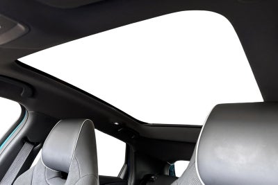 BYD Dolphin Design