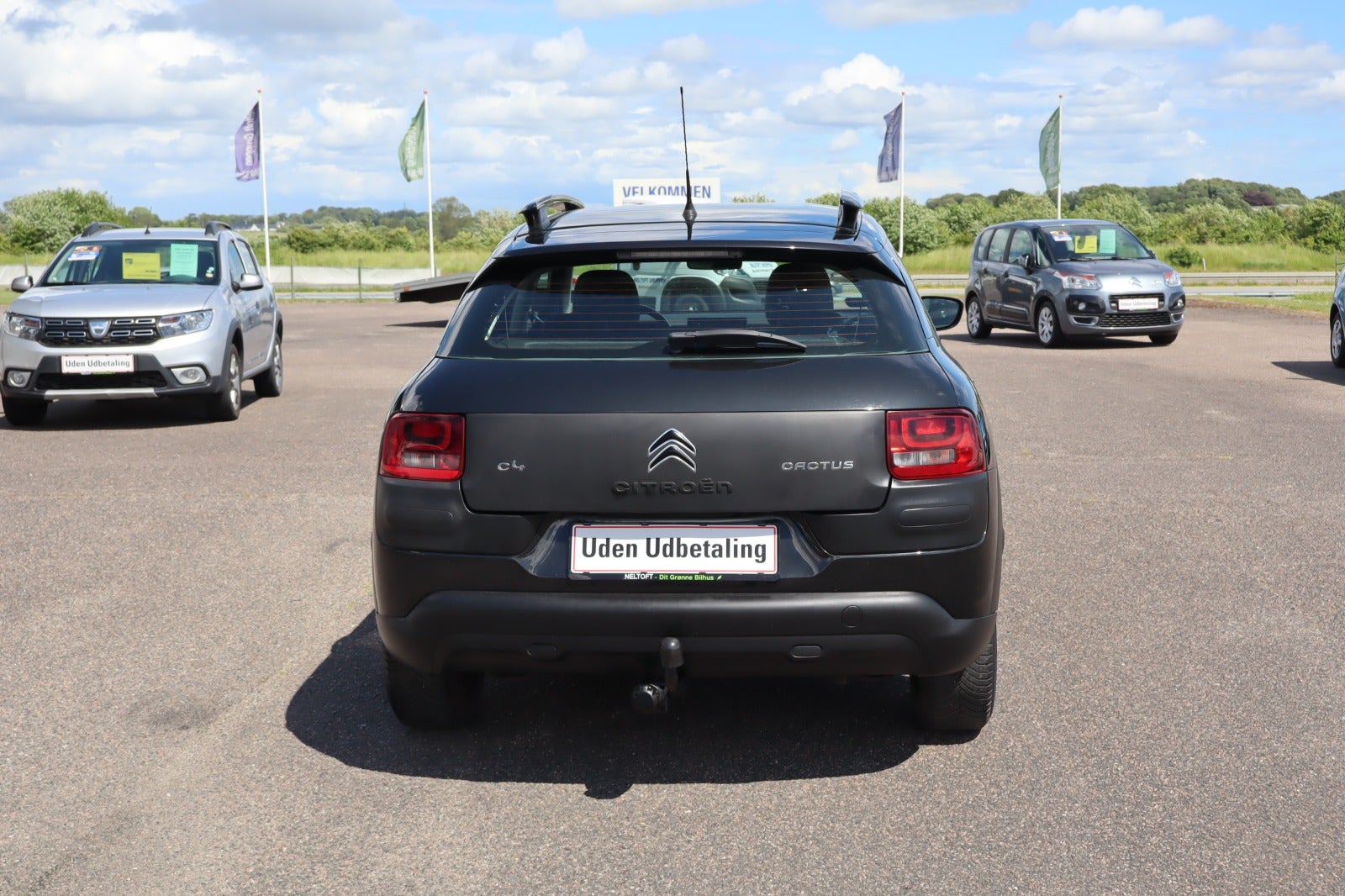 Billede af Citroën C4 Cactus 1,6 BlueHDi 100 Shine Edition