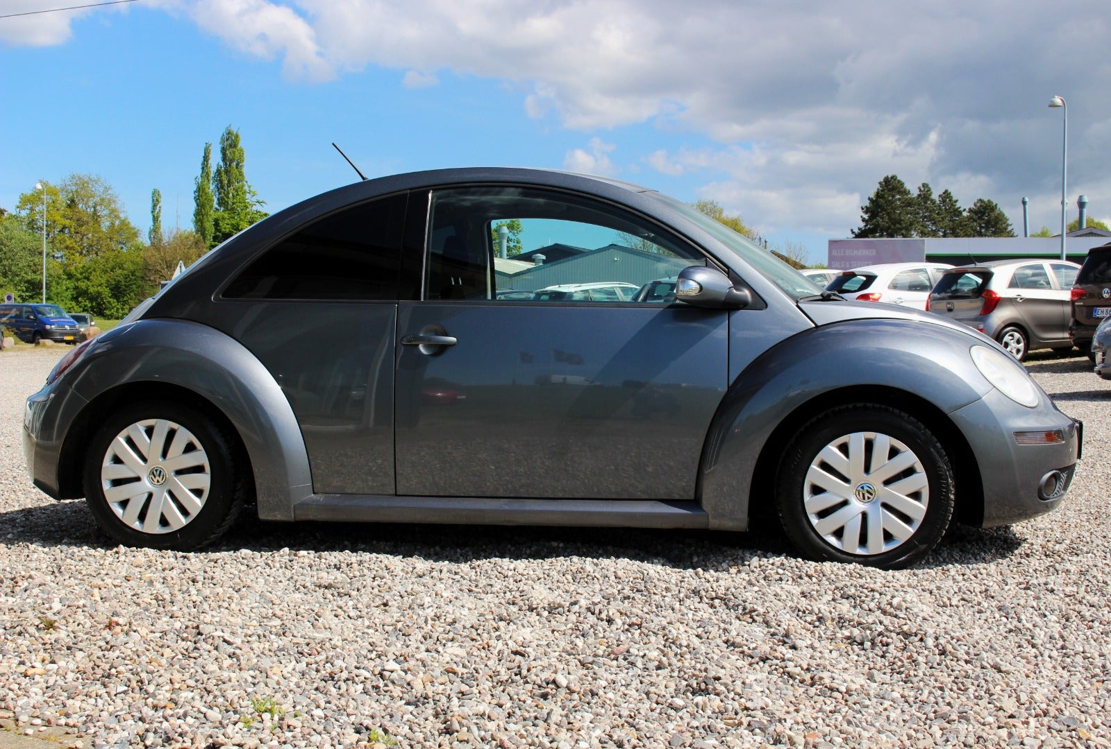 VW New Beetle Trendline