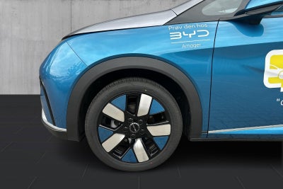 BYD Dolphin Design