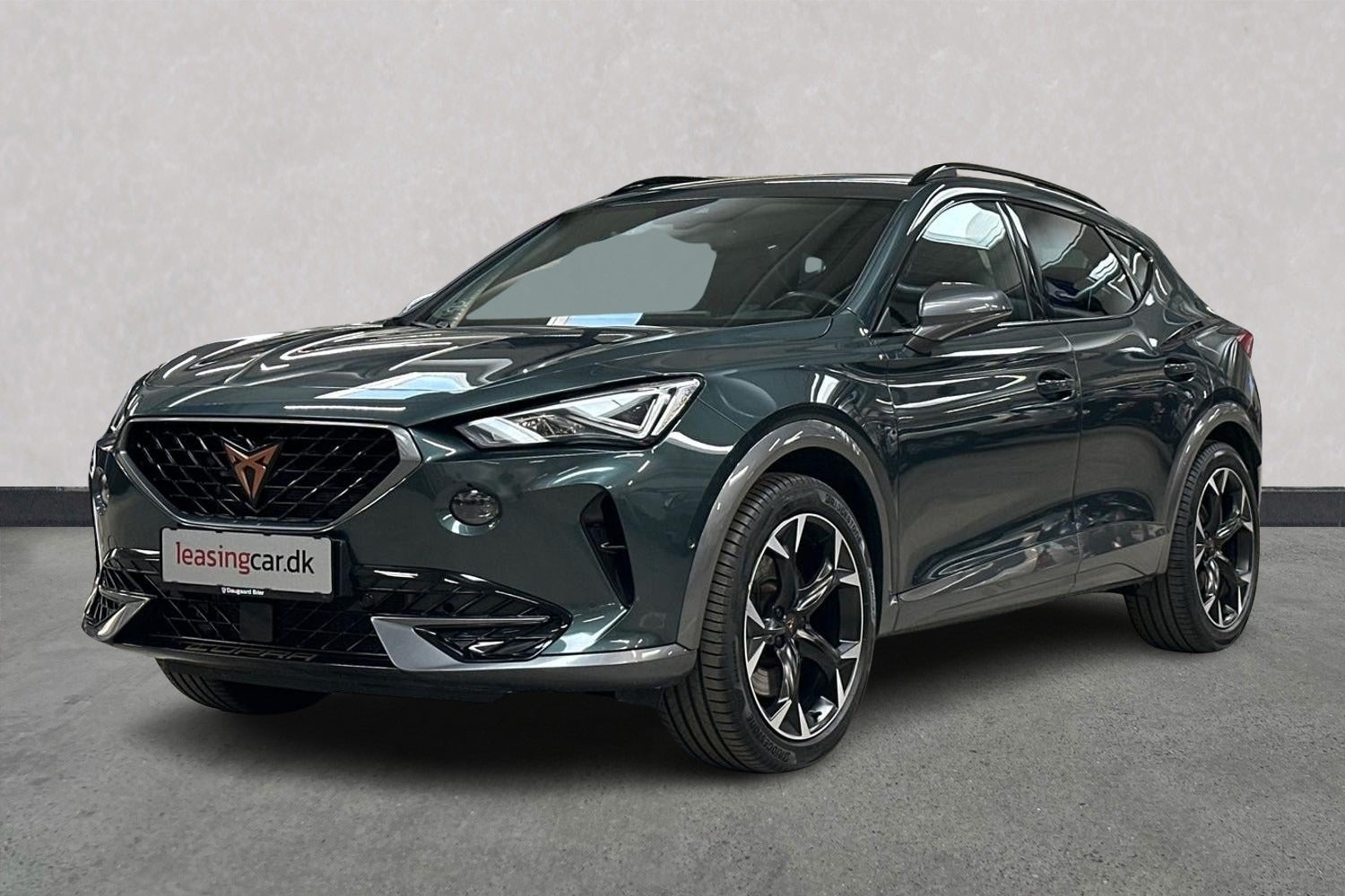 Billede af Seat Formentor 2,0 TSi 310 Cupra DSG 4Drive