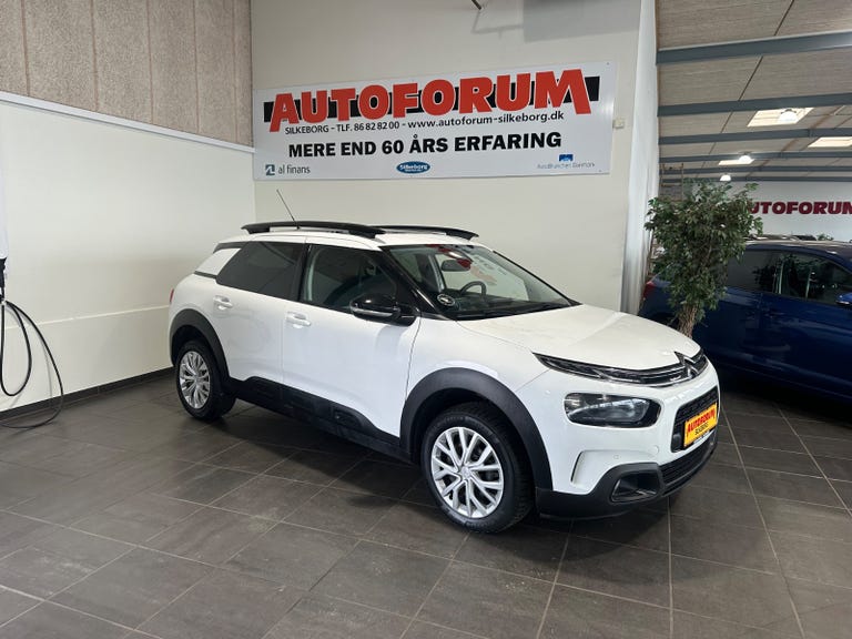 Citroën C4 Cactus BlueHDi 100 SkyLine Van