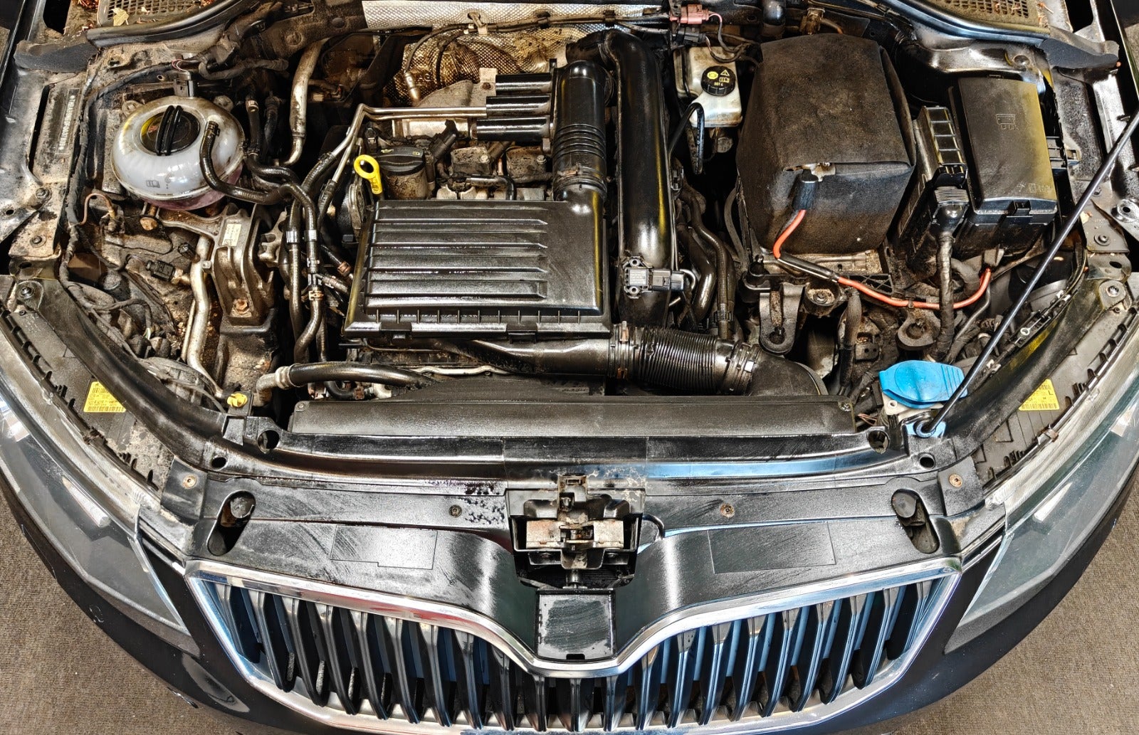 Billede af Skoda Octavia 1,2 TSi 105 Elegance