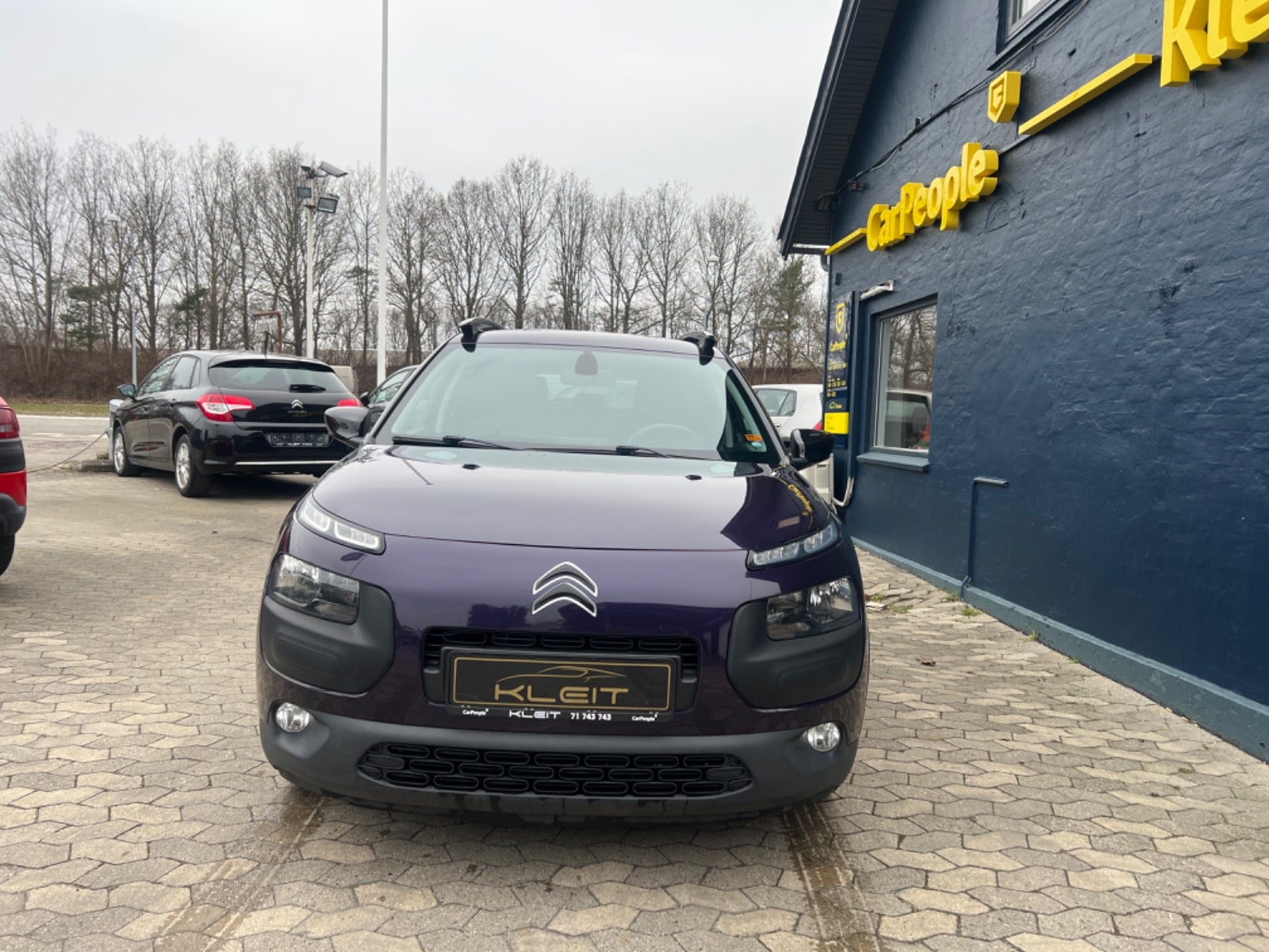 Citroën C4 Cactus 2015