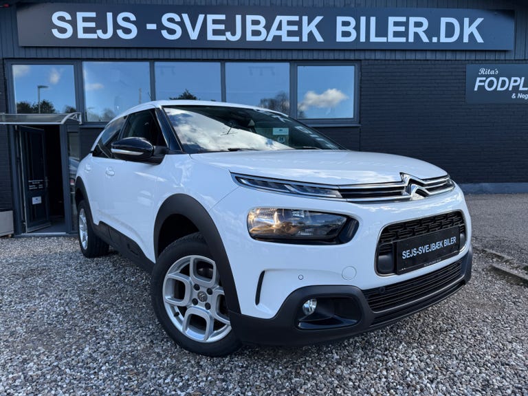 Citroën C4 Cactus BlueHDi 100 SkyLine Van