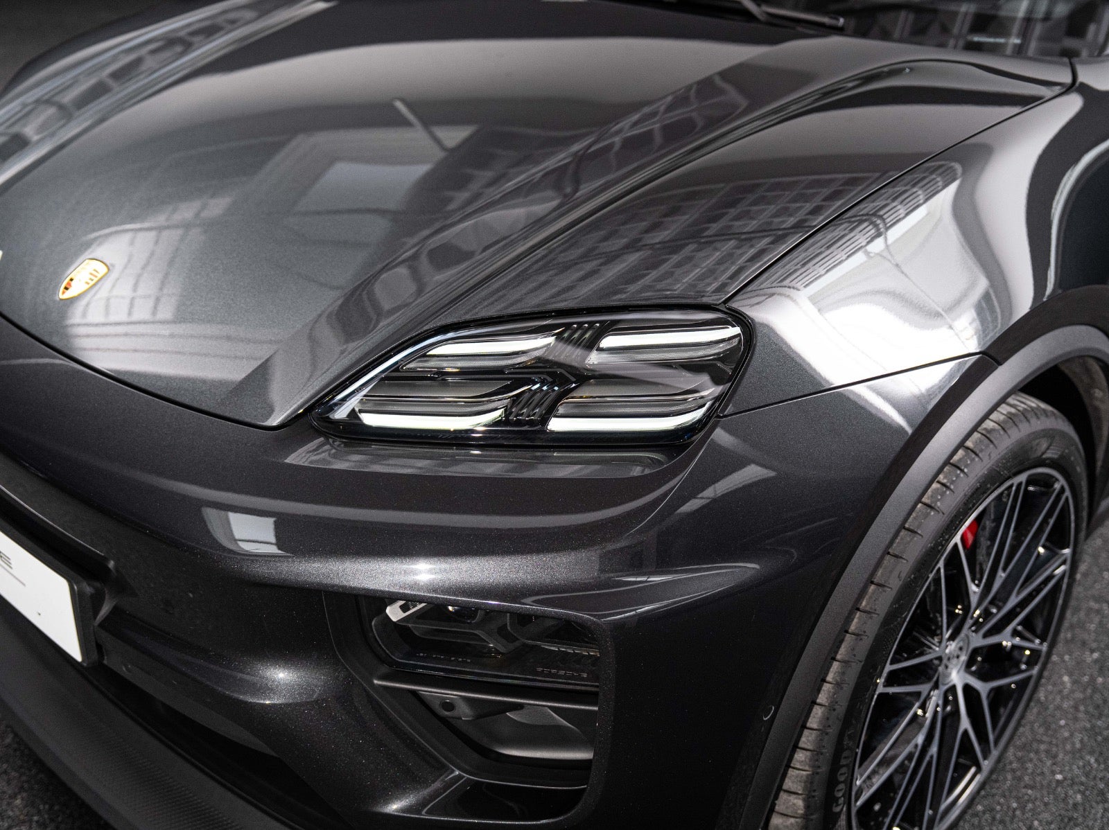 Gallery image 6 of 15