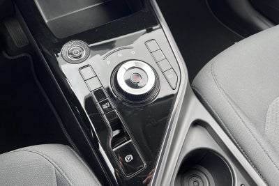 Kia Niro EV Access