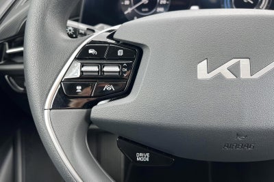 Kia Niro EV Access