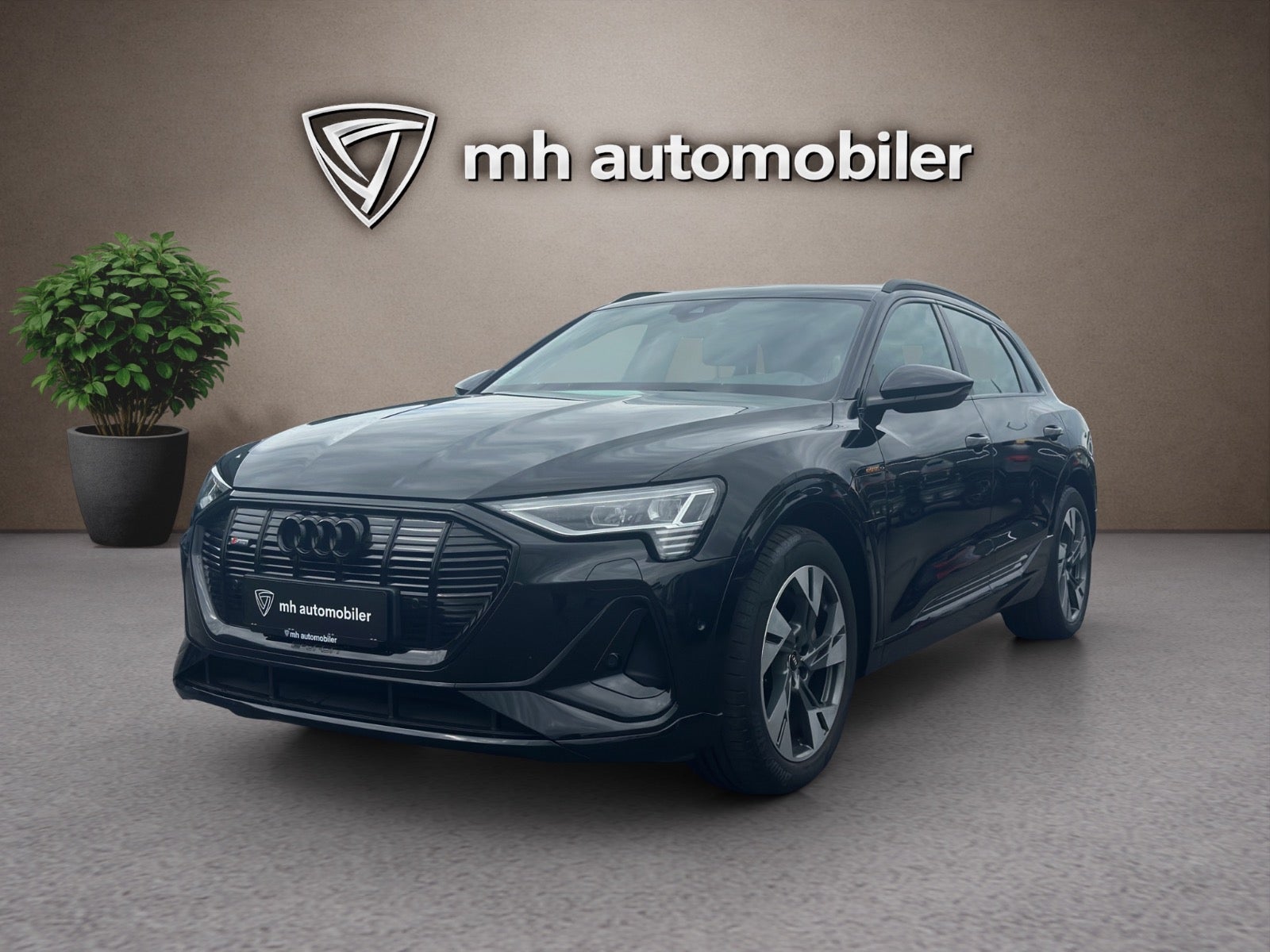 Billede af Audi e-tron 55 S-line quattro