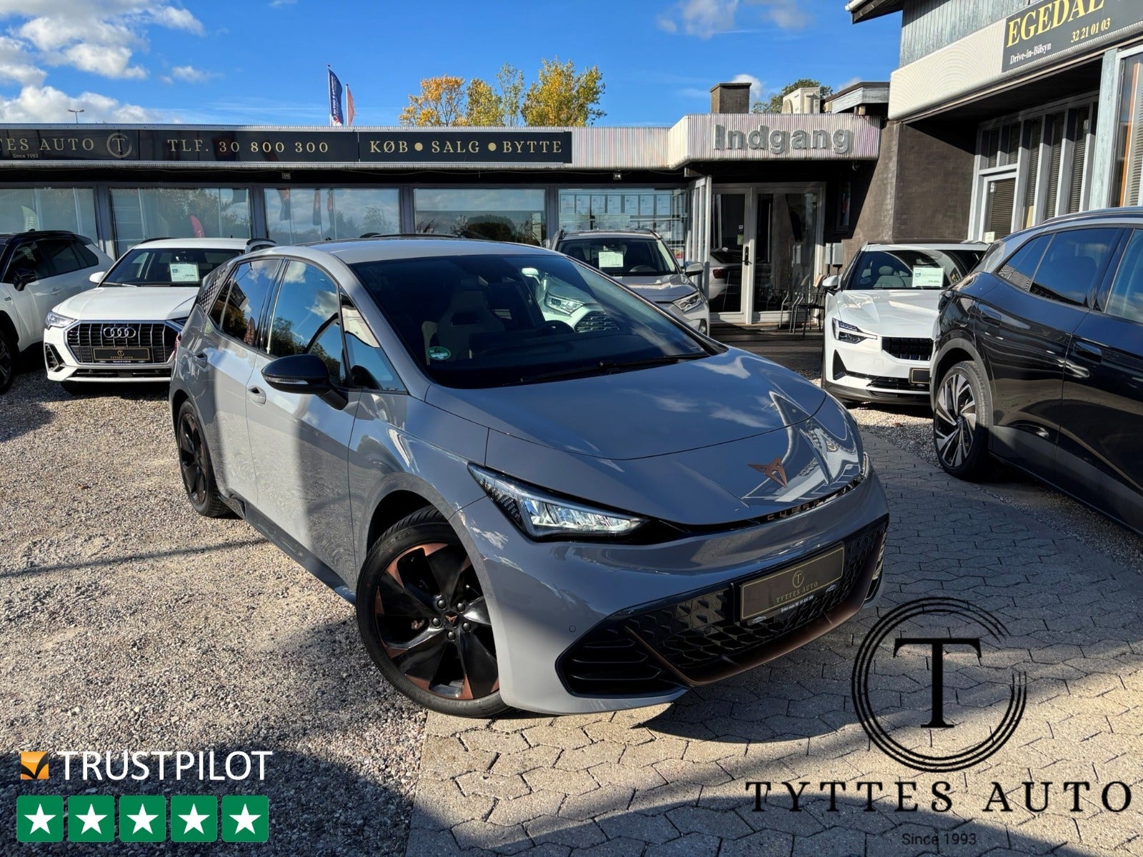 Cupra Born Dinamica Pack High