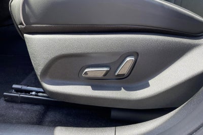 BYD Dolphin Comfort