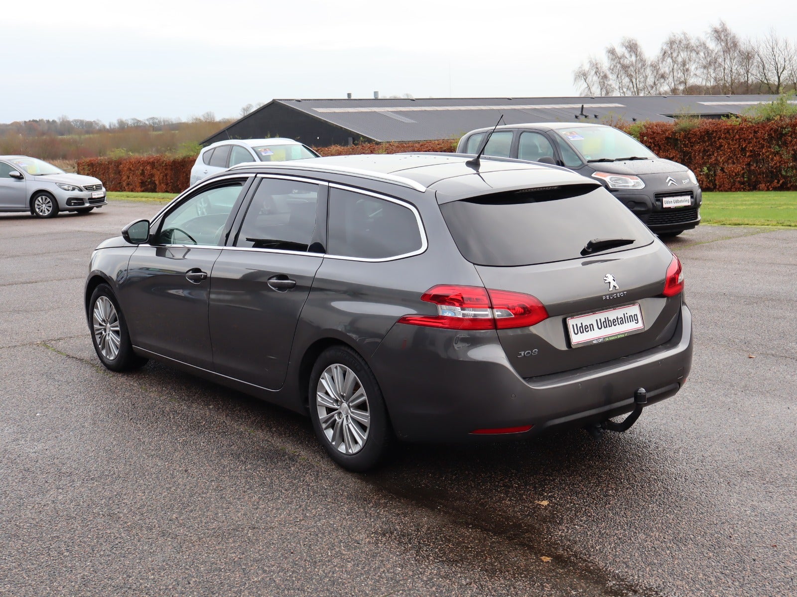 Billede af Peugeot 308 1,2 PureTech 130 Selection Sky SW