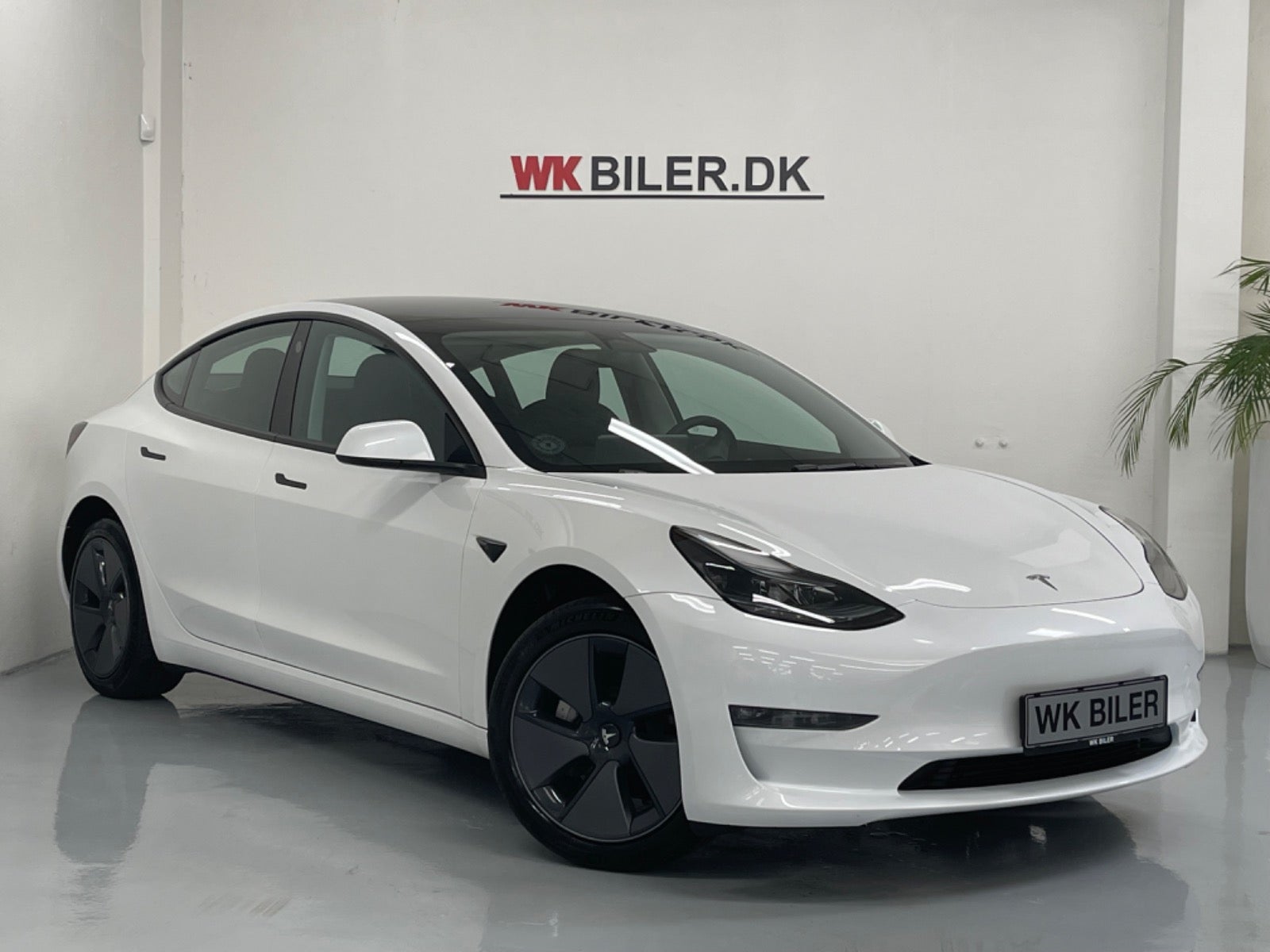 Tesla Model 3 2020