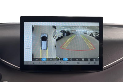 BYD Dolphin Surf Comfort