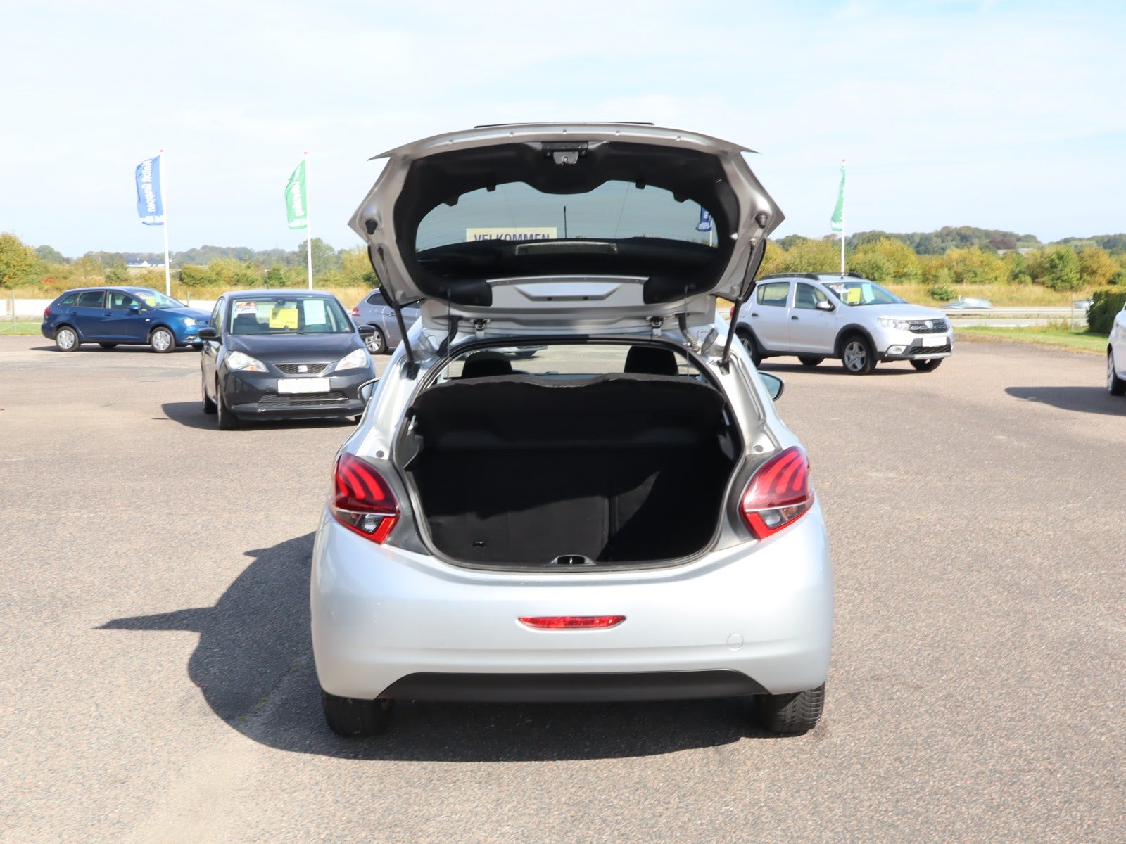 Billede af Peugeot 208 1,6 BlueHDi 100 Chili Sky