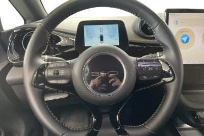 BYD Dolphin Design