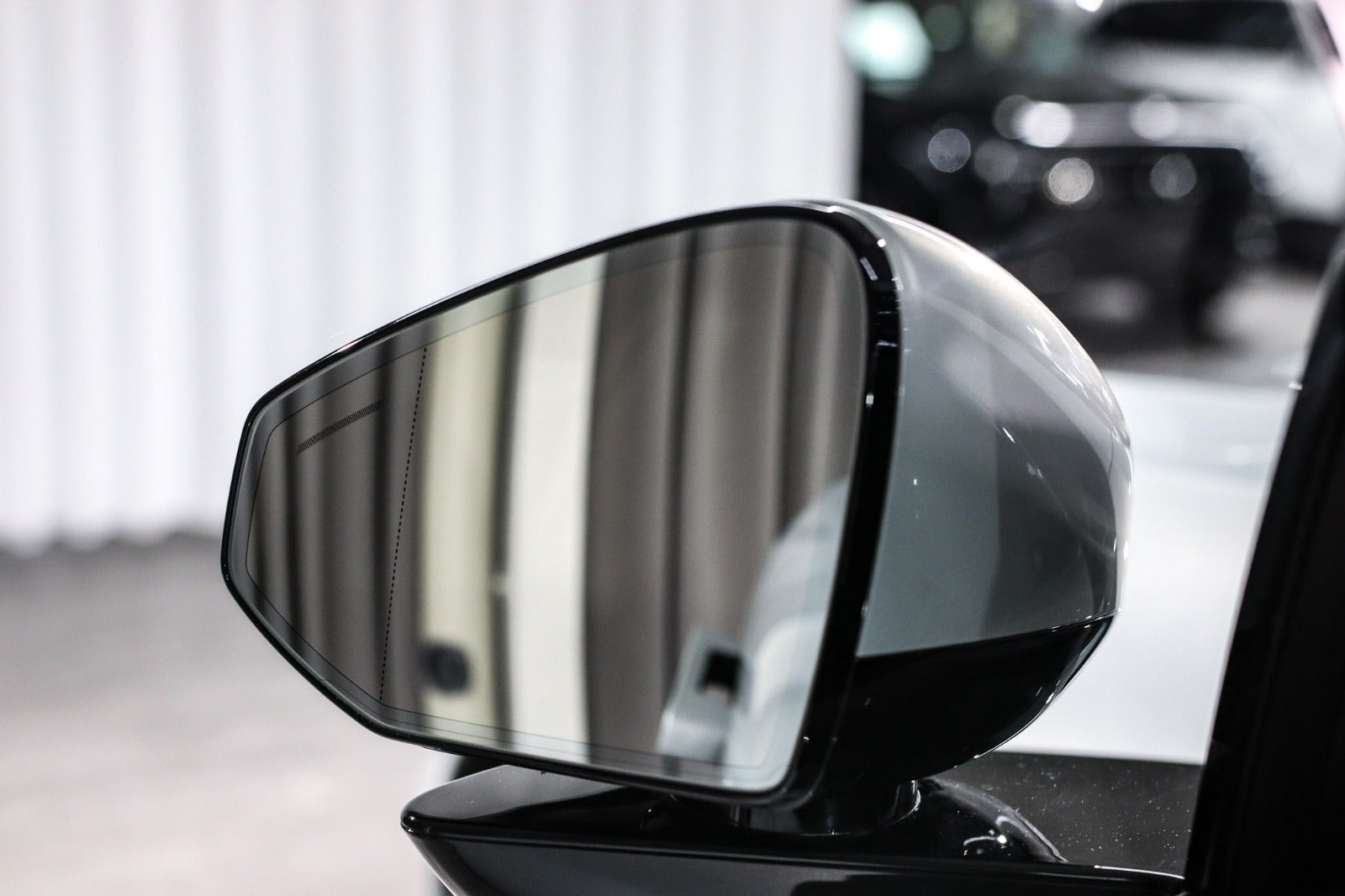 Billede af Polestar 4 Long Range Nordic Edition AWD