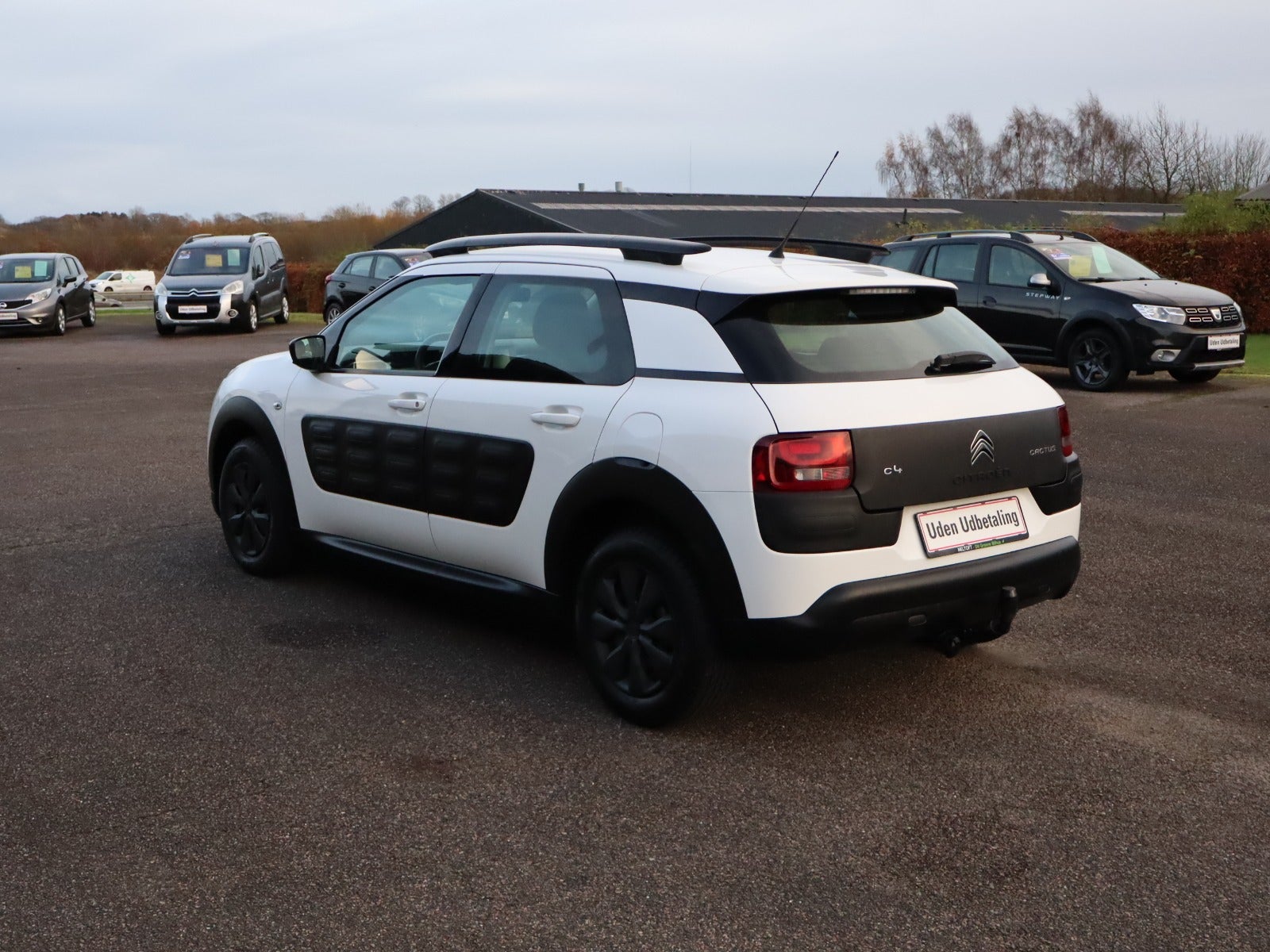 Billede af Citroën C4 Cactus 1,6 BlueHDi 100 Shine
