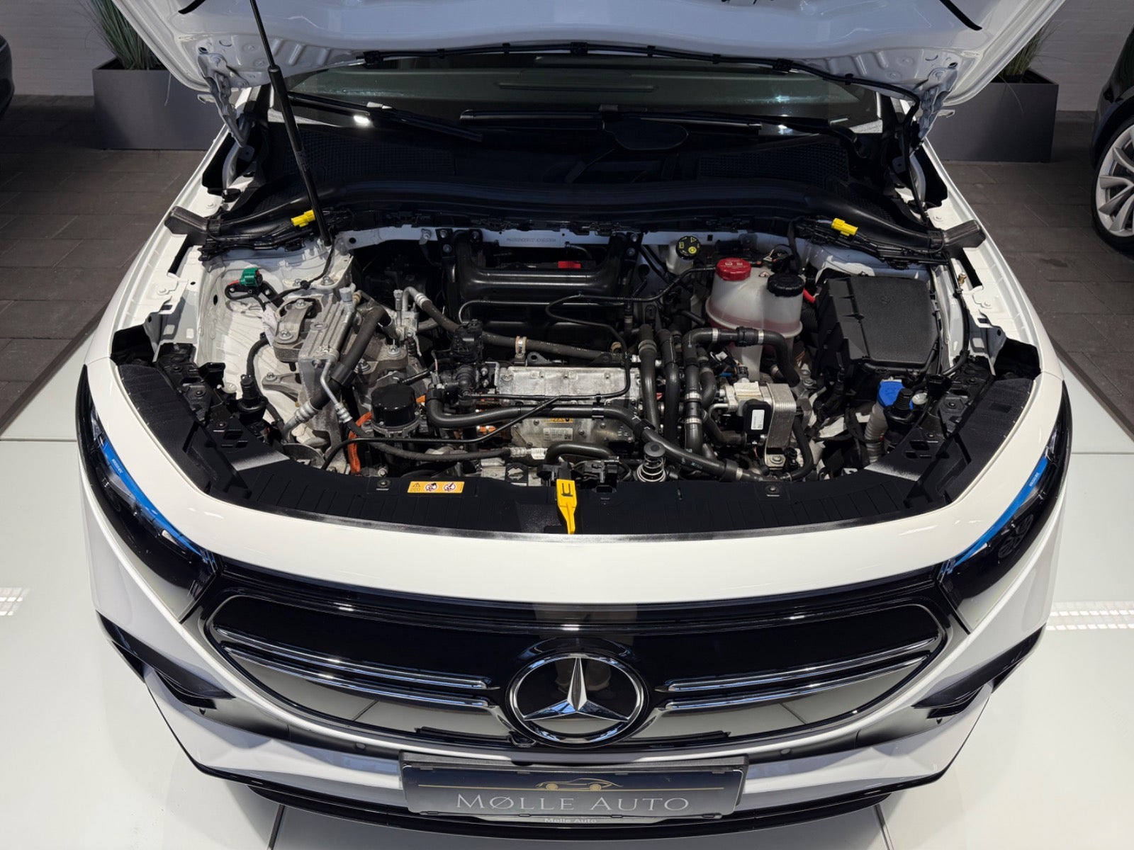 Billede af Mercedes EQA250  AMG Line