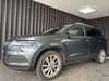 Skoda Karoq TSi 150 Celebration DSG thumbnail