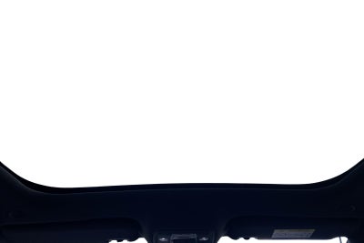 BYD Dolphin Design