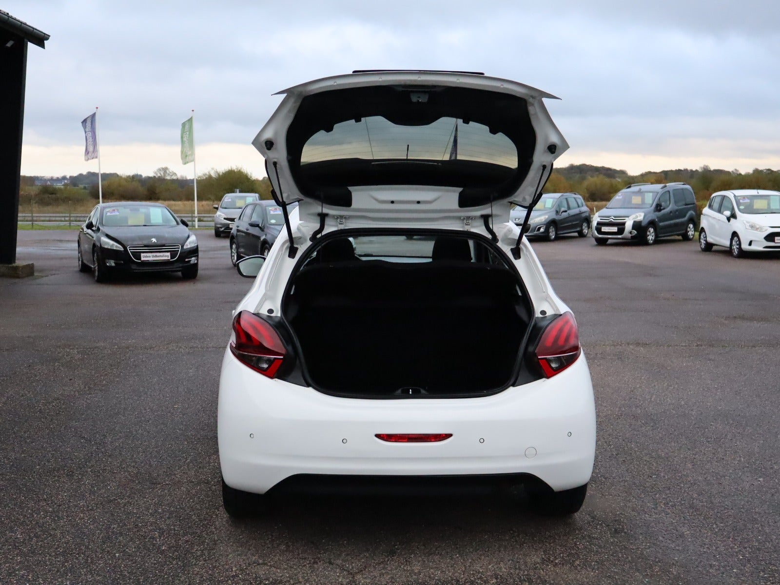Billede af Peugeot 208 1,6 BlueHDi 100 Allure