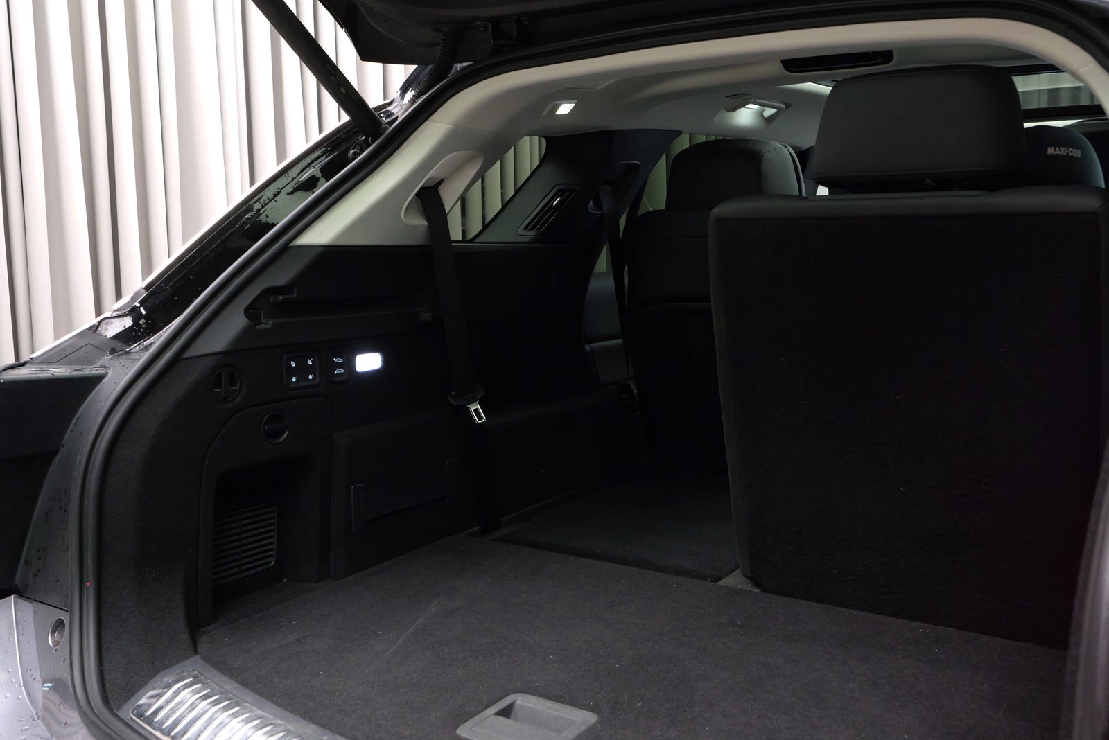 Hongqi E-HS9 Exclusive