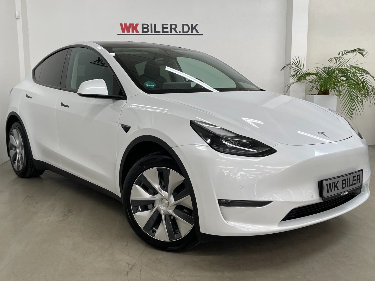 Tesla Model Y Long Range AWD 2021