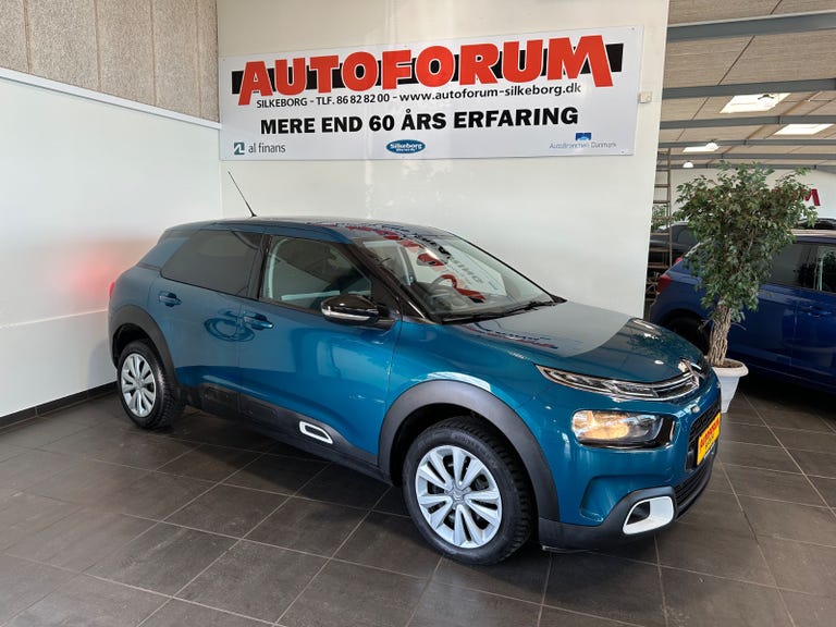 Citroën C4 Cactus BlueHDi 100 SkyLine Van