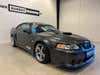 Ford Mustang Saleen Cobra thumbnail