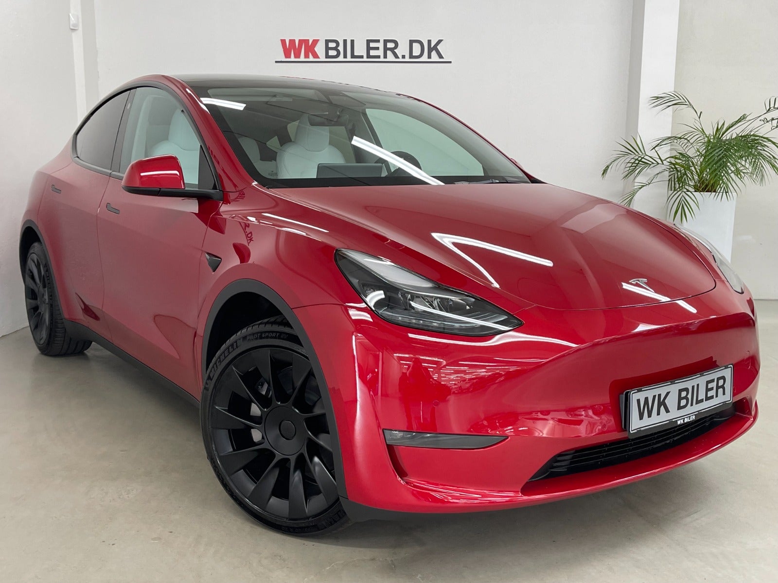 Tesla Model Y Long Range AWD 2022