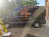 Ford Transit 350 L2 Van TDCi 170 Trend H2 FWD thumbnail